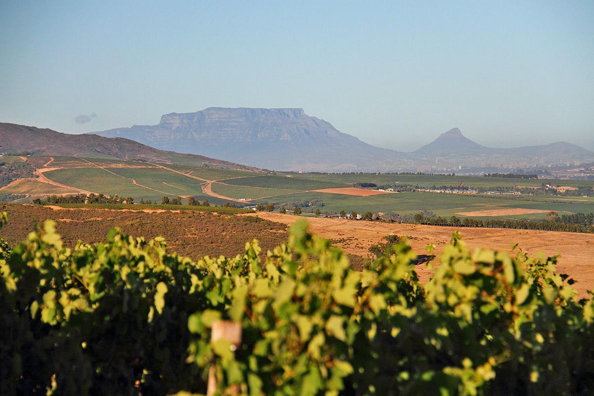 Muratie GP Canitz Cottage Municipalità locale di Municipalità locale di Stellenbosch Esterno foto