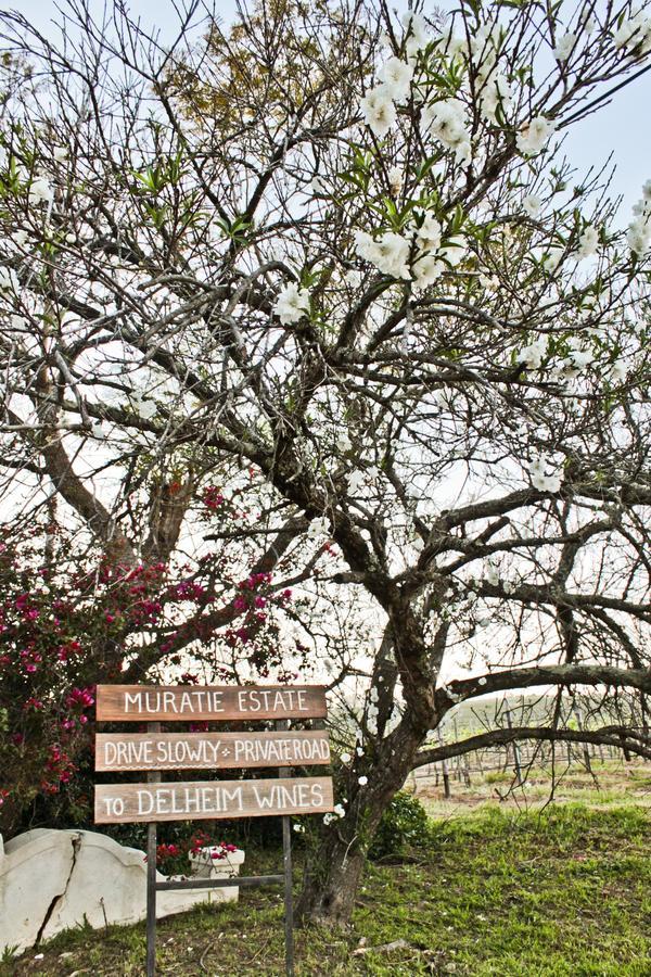 Muratie GP Canitz Cottage Municipalità locale di Municipalità locale di Stellenbosch Esterno foto